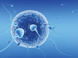 Infertility Treatment in Palmers green massge clinic