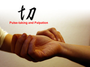 chinese remedies-pulse-taking and palpation