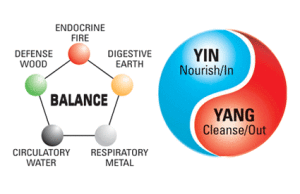 consultation-yin yang