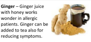 herbal remedies-Palmers green gingy therapy